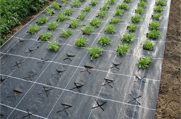 Укрывной материал Arrigoni Агроткань ИТ 1.05х10м