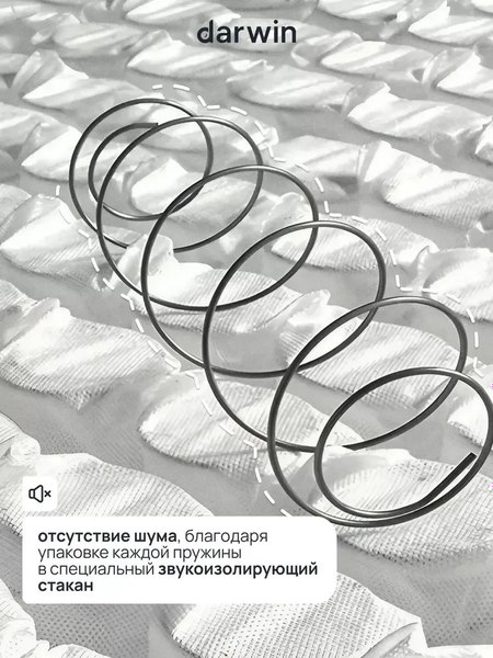 Матрас Darwin Energy 80x200