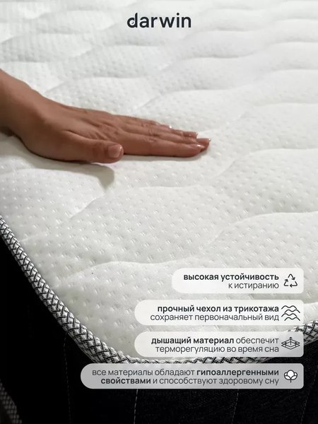 Матрас Darwin Maestro 80x200