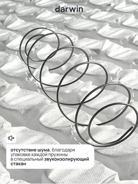 Матрас Darwin Maestro 80x200