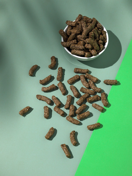 Корм для грызунов Mikimeals Complex Для шиншилл и дегу