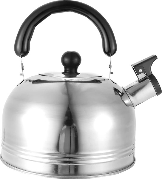 Чайник со свистком Sundays Home TBD0604715801 - фото