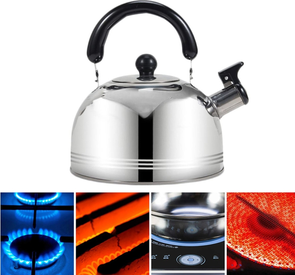 Чайник со свистком Sundays Home TBD0604715801