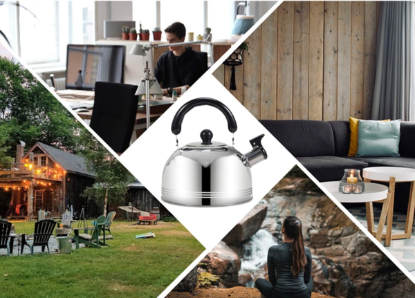 Чайник со свистком Sundays Home TBD0604715801