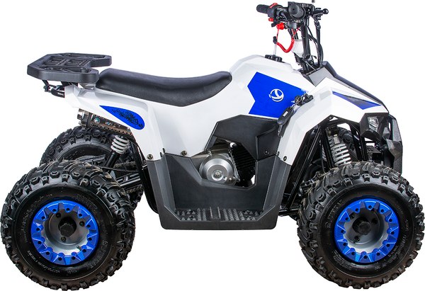 Квадроцикл Yacota Raposa 110 куб.см. - фото