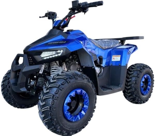 Квадроцикл Yacota Raposa 110 куб.см. - фото