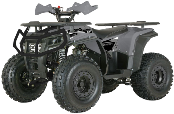 Квадроцикл Yacota Dragon One 125 - фото