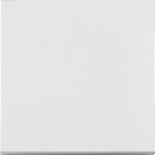 Выключатель Bylectrica 10-3601 - фото