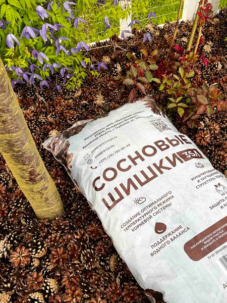Мульча для растений Онаграция Шишки сосновые