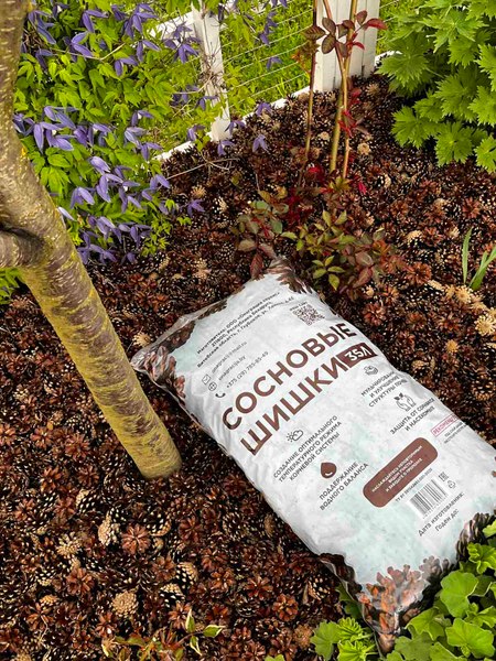 Мульча для растений Онаграция Шишки сосновые