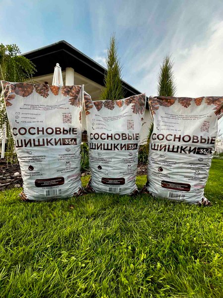 Мульча для растений Онаграция Шишки сосновые