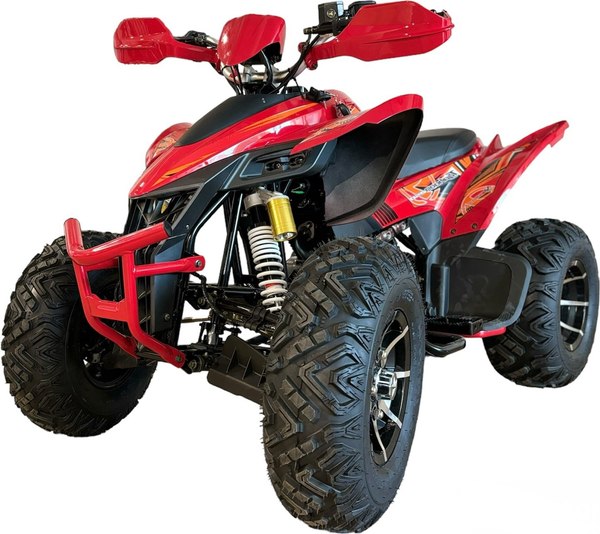 Квадроцикл Yacota Typhoon 250 LD - фото