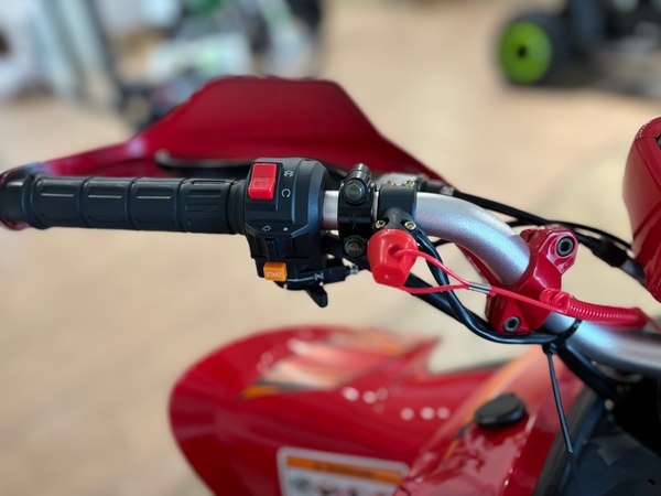 Квадроцикл Yacota Typhoon 250 LD