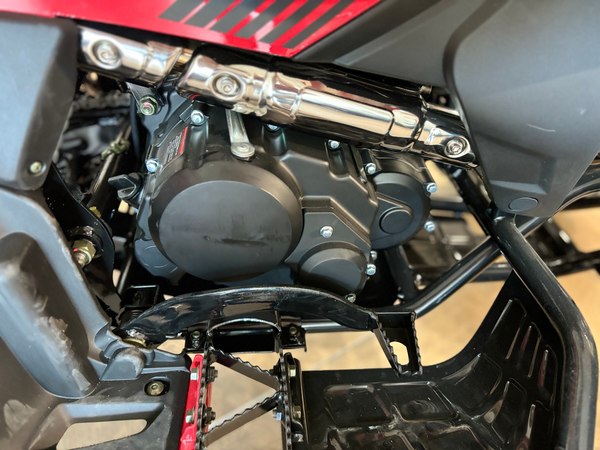 Квадроцикл Yacota Typhoon 250 LD