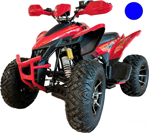 Квадроцикл Yacota Typhoon 250 LD - фото