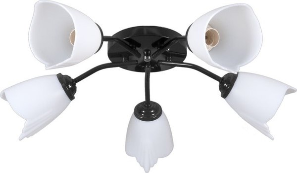 Люстра Lumix 1008/5-WT - фото