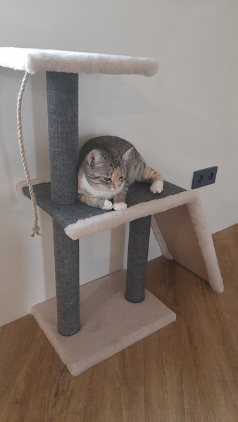 Комплекс для кошек Cat House Молния Лайт 0.83