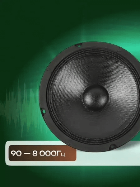 Среднечастотная АС Rokso CZY2502 - фото