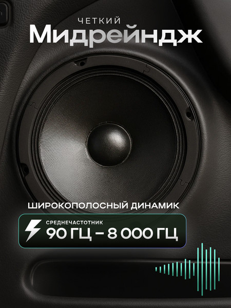 Среднечастотная АС Rokso CZY2502