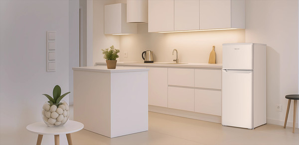 Холодильник с морозильником TECHNO DF2-20