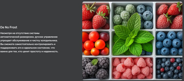 Холодильник с морозильником TECHNO DF2-20