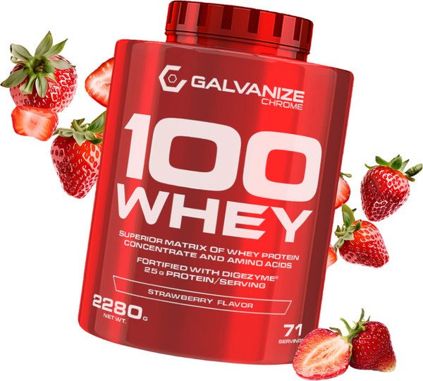 Протеин Galvanize 100 Вей