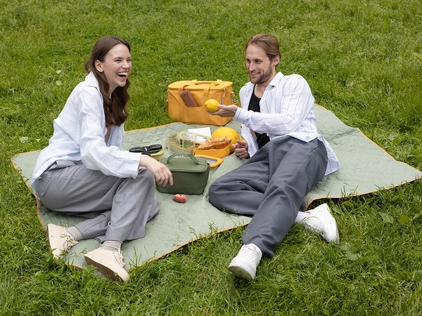 Термосумка Smart Solutions Picnic / SS0000315