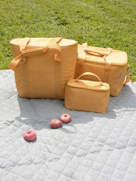 Термосумка Smart Solutions Picnic / SS0000313