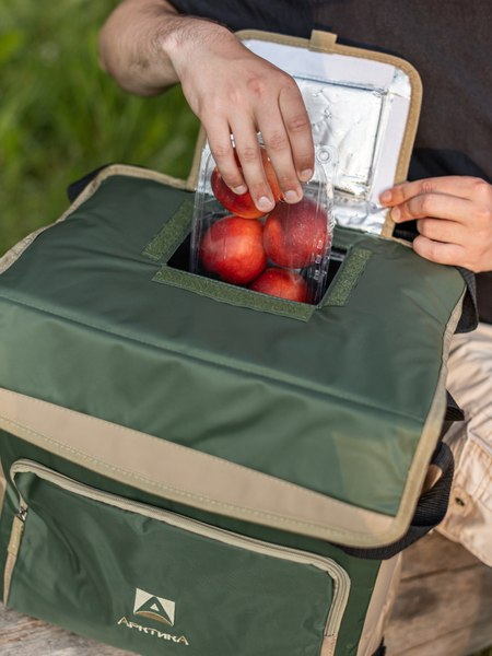 Термосумка Арктика 3001-30-GN