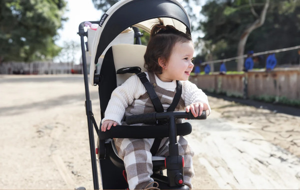 Трехколесный велосипед с ручкой Smart Trike STR7 Urban / 5501100