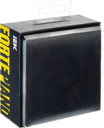 Розетка IEK Forte&Piano FP-R13-10-K02