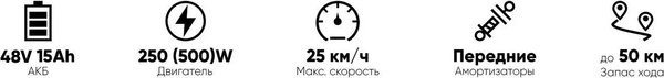 Электровелосипед AVM E-Alfa Trike 24 / pm0512275475