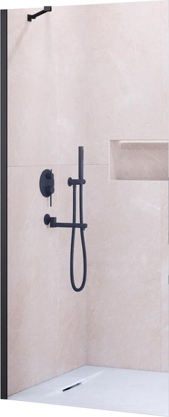 Душевая стенка RGW WA-110B / 351011014-14 - фото