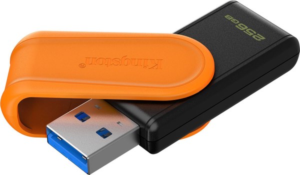 USB flash накопитель Kingston DTXS/256GB DataTraveler Exodia S