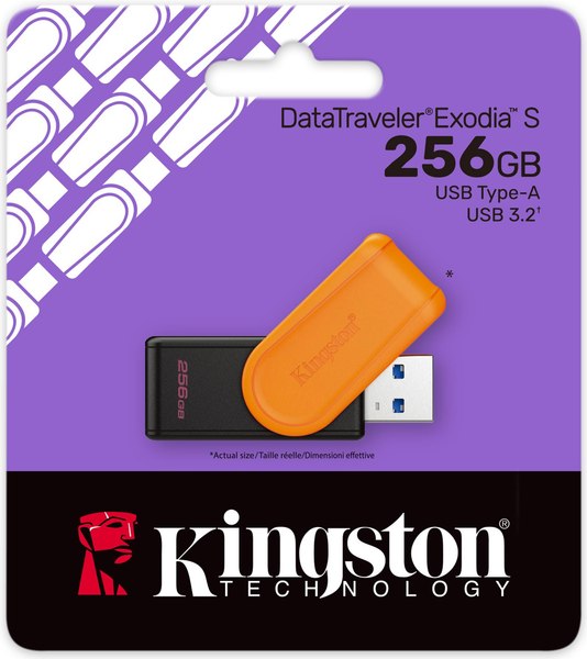 USB flash накопитель Kingston DTXS/256GB DataTraveler Exodia S