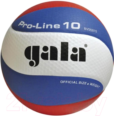 Мяч волейбольный Gala Sport Pro-Line 10 / BV5581S - фото