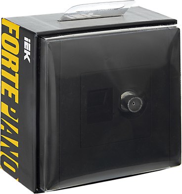 Розетка IEK FP-AK20-1-K02