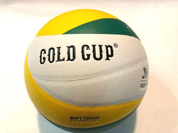 Мяч волейбольный Gold Cup VA-12