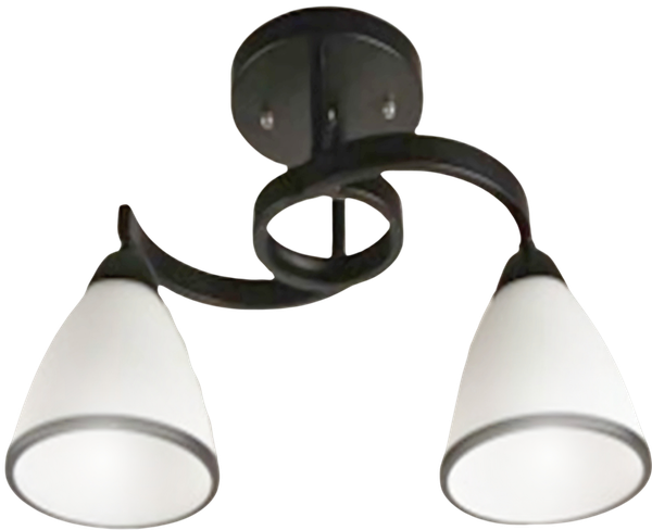 Потолочный светильник Aitin-Pro НПБ 02-2x60-101 / 7600/2