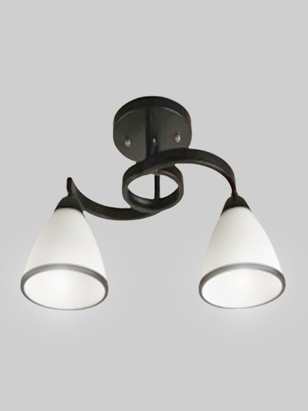 Потолочный светильник Aitin-Pro НПБ 02-2x60-101 / 7600/2