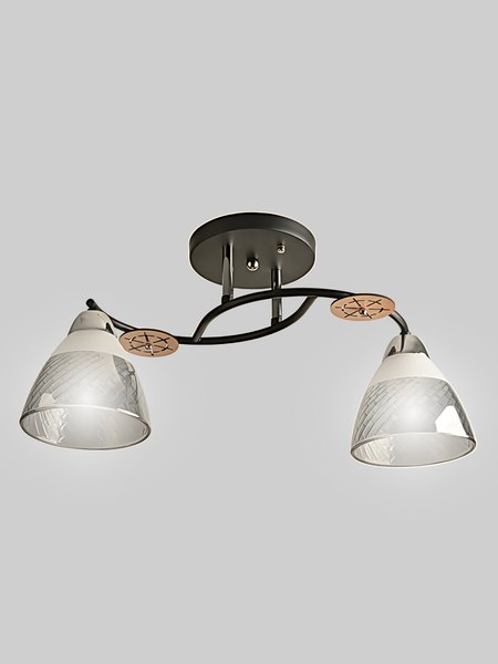 Потолочный светильник Aitin-Pro НПБ 02-2x60-101 / 8245/2