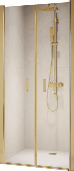 Душевая дверь RGW PA-104Gb / 060810412-16 - фото