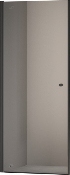 Душевая дверь Dolphin TN-03B / 54930309-14 - фото