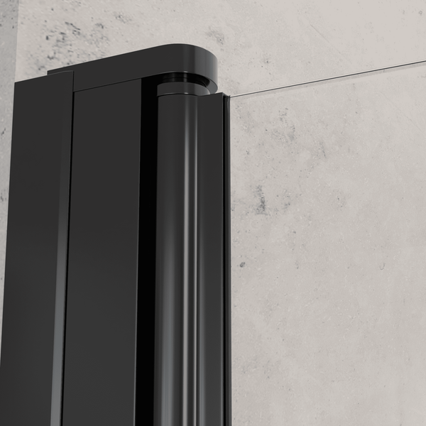 Душевая дверь Dolphin TN-03B / 54930309-14