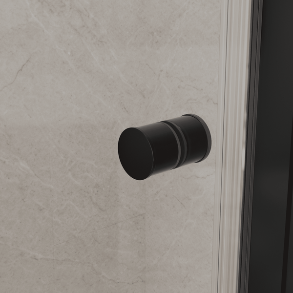 Душевая дверь Dolphin TN-03B / 54930309-14