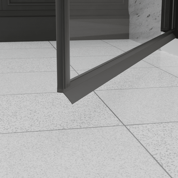 Душевая дверь Dolphin TN-03B / 54930309-14