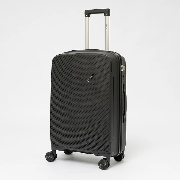 Чемодан на колесах Valigetti 344-8026/2-24BLK