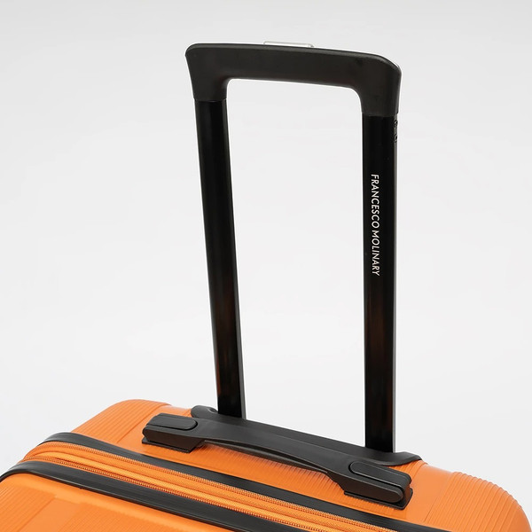 Чемодан на колесах Francesco Molinary 341-AT309/3-19TRC