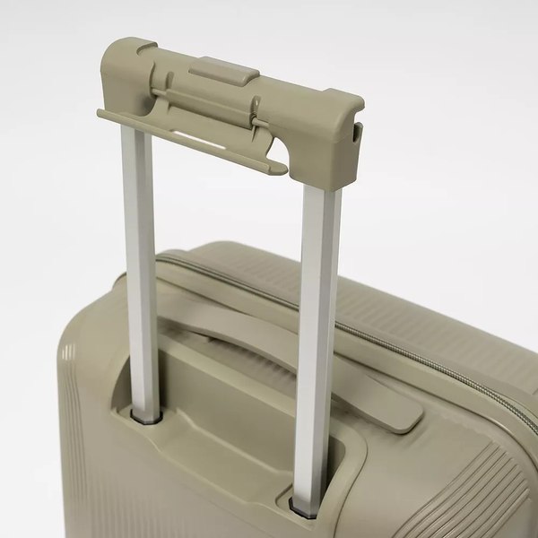 Чемодан на колесах Francesco Molinary 344-8038/2-20GGN