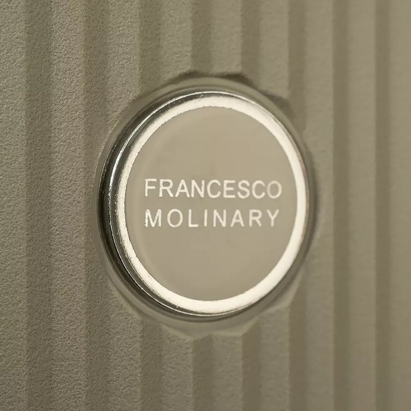 Чемодан на колесах Francesco Molinary 344-8038/2-20GGN